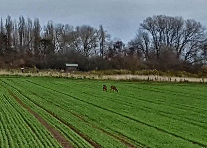 Kerschenhof Appartement *